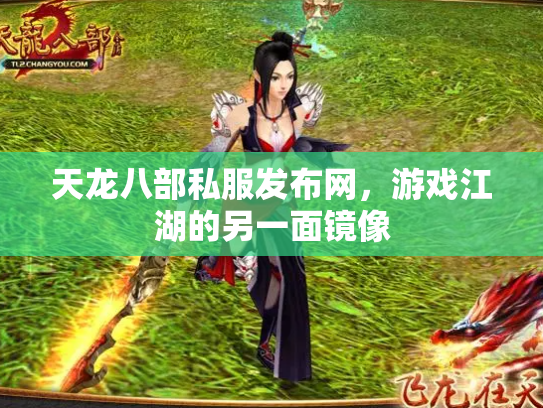 天龙八部私服发布网，游戏江湖的另一面镜像