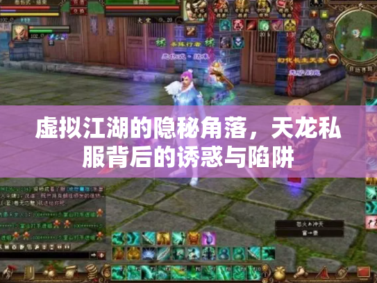 虚拟江湖的隐秘角落，天龙私服背后的诱惑与陷阱