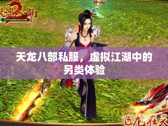 天龙八部私服，虚拟江湖中的另类体验