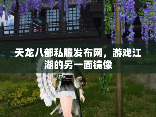 天龙八部私服发布网，游戏江湖的另一面镜像