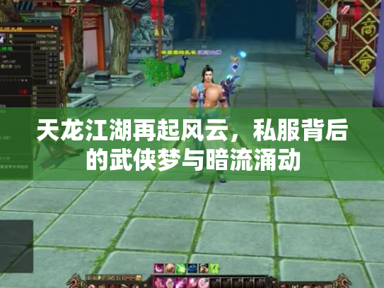 天龙江湖再起风云，私服背后的武侠梦与暗流涌动