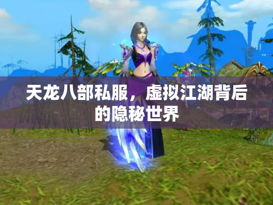 天龙八部私服，虚拟江湖背后的隐秘世界