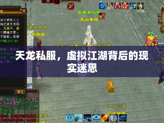 天龙私服，虚拟江湖背后的现实迷思