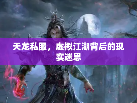 天龙私服，虚拟江湖背后的现实迷思