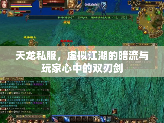 天龙私服，虚拟江湖的暗流与玩家心中的双刃剑