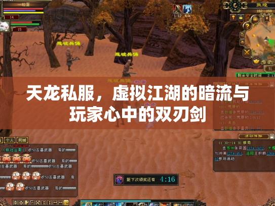 天龙私服，虚拟江湖的暗流与玩家心中的双刃剑
