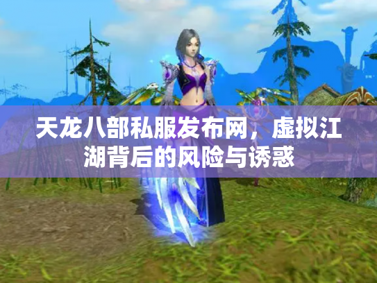 天龙八部私服发布网，虚拟江湖背后的风险与诱惑