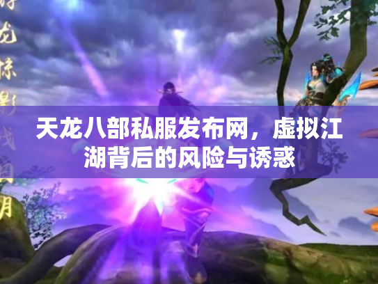 天龙八部私服发布网，虚拟江湖背后的风险与诱惑
