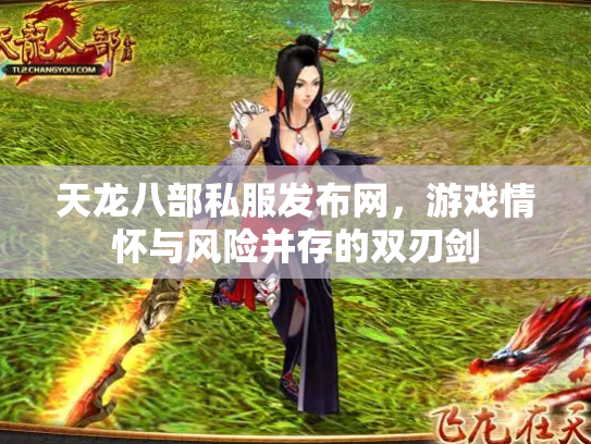 天龙八部私服发布网，游戏情怀与风险并存的双刃剑