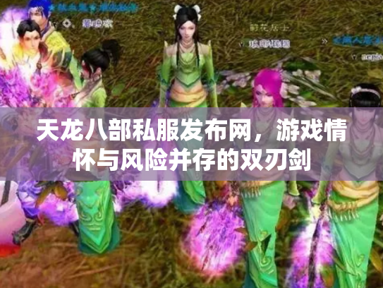 天龙八部私服发布网，游戏情怀与风险并存的双刃剑