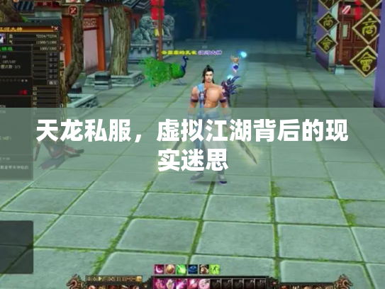 天龙私服，虚拟江湖背后的现实迷思