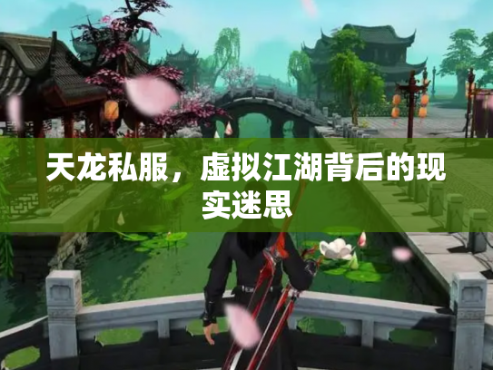 天龙私服，虚拟江湖背后的现实迷思