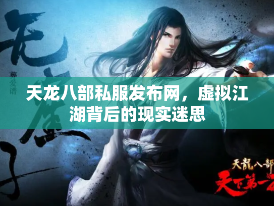 天龙八部私服发布网，虚拟江湖背后的现实迷思