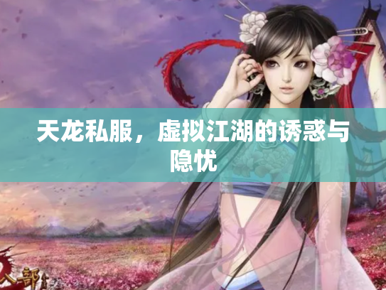 天龙私服，虚拟江湖的诱惑与隐忧