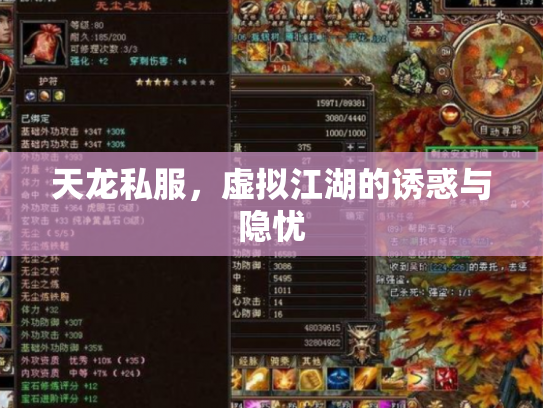 天龙私服，虚拟江湖的诱惑与隐忧