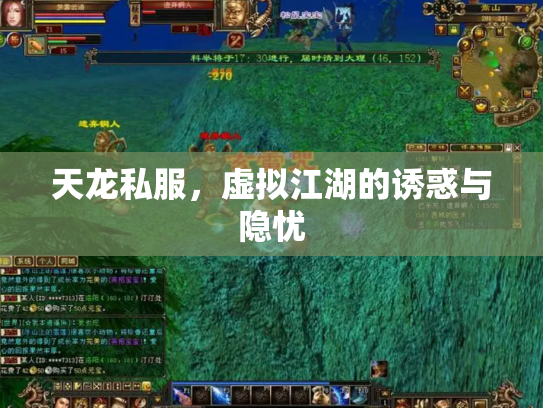 天龙私服，虚拟江湖的诱惑与隐忧