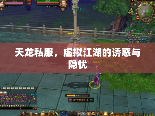 天龙私服，虚拟江湖的诱惑与隐忧