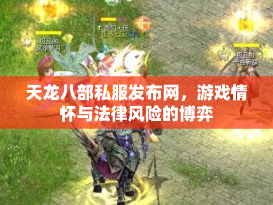 天龙八部私服发布网，游戏情怀与法律风险的博弈