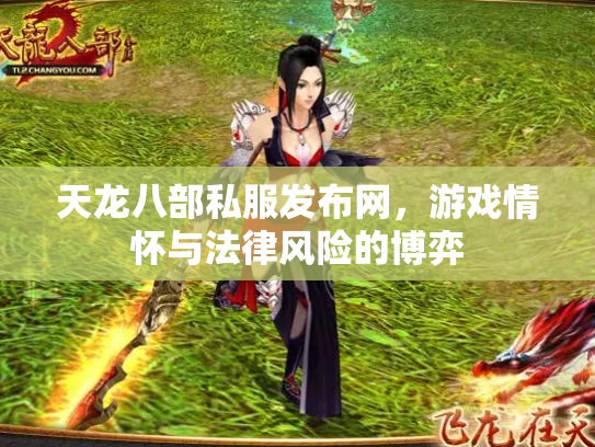 天龙八部私服发布网，游戏情怀与法律风险的博弈