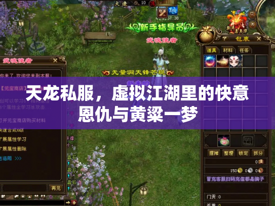 天龙私服，虚拟江湖里的快意恩仇与黄粱一梦