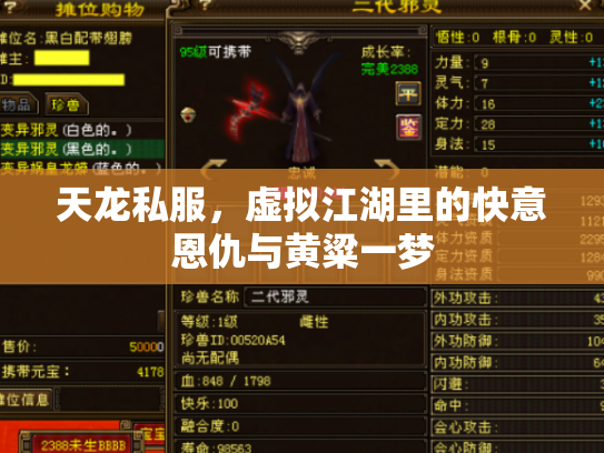 天龙私服，虚拟江湖里的快意恩仇与黄粱一梦