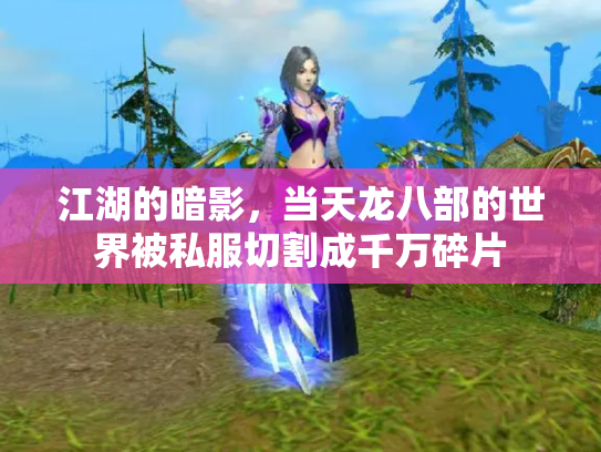 江湖的暗影，当天龙八部的世界被私服切割成千万碎片