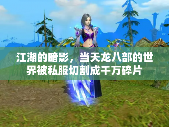 江湖的暗影，当天龙八部的世界被私服切割成千万碎片