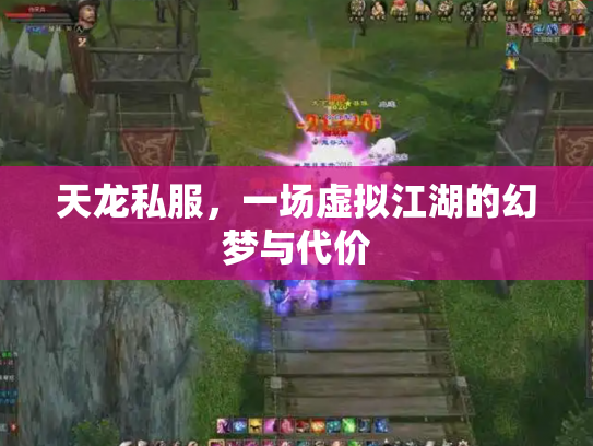 天龙私服，一场虚拟江湖的幻梦与代价