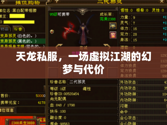 天龙私服，一场虚拟江湖的幻梦与代价