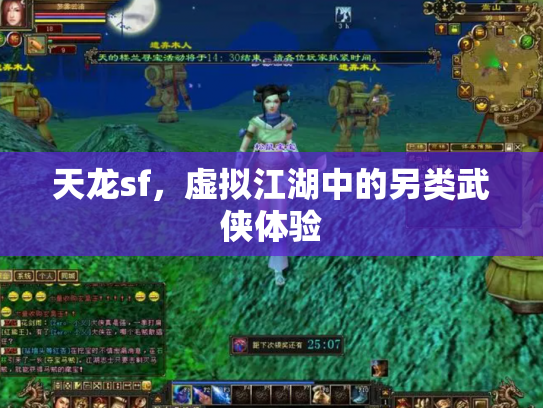 天龙sf，虚拟江湖中的另类武侠体验