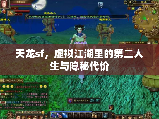 天龙sf，虚拟江湖里的第二人生与隐秘代价