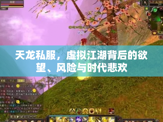 天龙私服，虚拟江湖背后的欲望、风险与时代悲欢