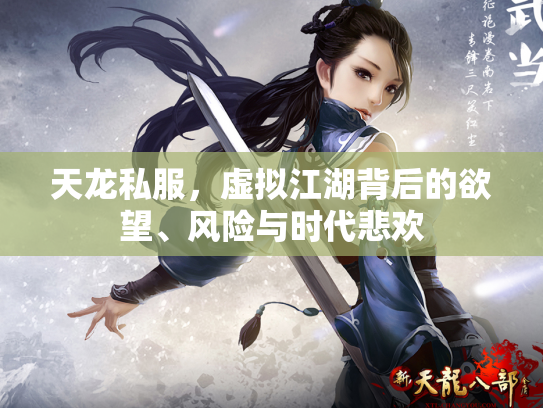 天龙私服，虚拟江湖背后的欲望、风险与时代悲欢