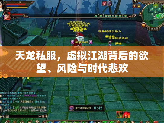 天龙私服，虚拟江湖背后的欲望、风险与时代悲欢