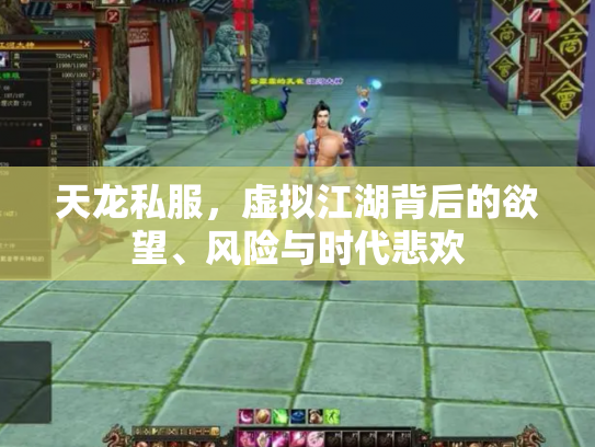 天龙私服，虚拟江湖背后的欲望、风险与时代悲欢