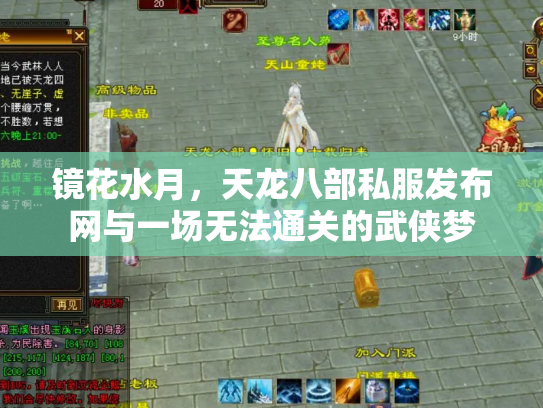 镜花水月，天龙八部私服发布网与一场无法通关的武侠梦