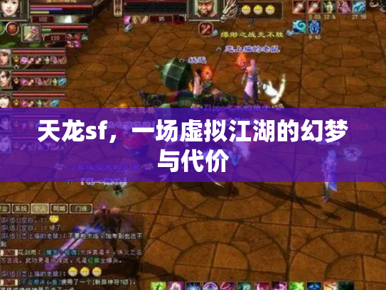 天龙sf，一场虚拟江湖的幻梦与代价
