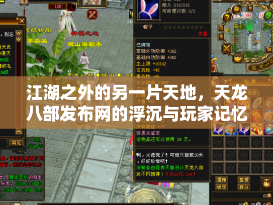江湖之外的另一片天地，天龙八部发布网的浮沉与玩家记忆