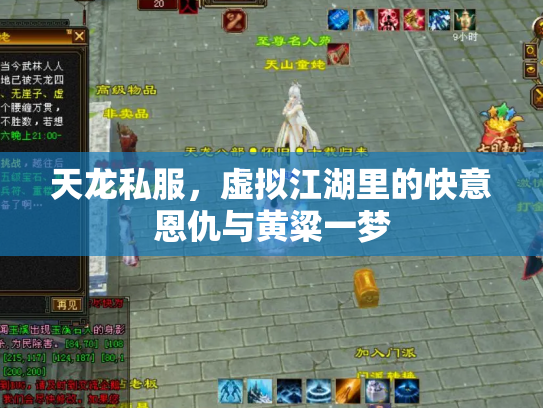 天龙私服，虚拟江湖里的快意恩仇与黄粱一梦