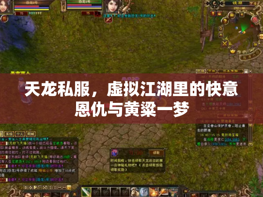 天龙私服，虚拟江湖里的快意恩仇与黄粱一梦