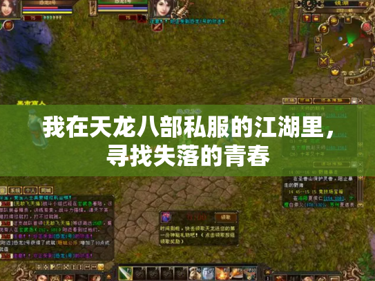 我在天龙八部私服的江湖里，寻找失落的青春