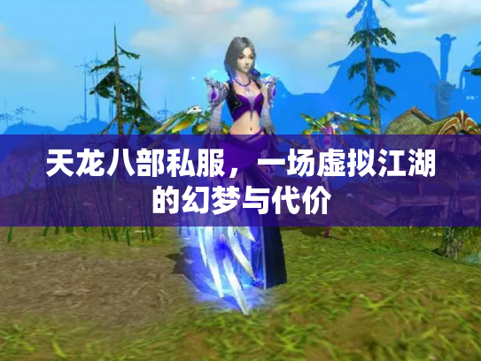 天龙八部私服，一场虚拟江湖的幻梦与代价