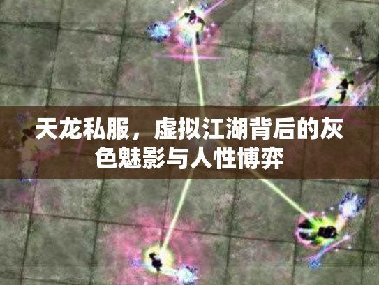 天龙私服，虚拟江湖背后的灰色魅影与人性博弈