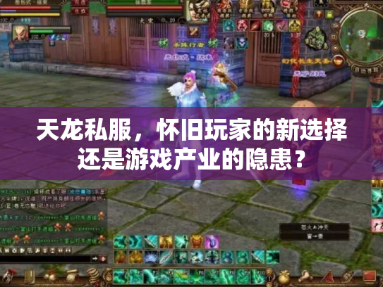 天龙私服，怀旧玩家的新选择还是游戏产业的隐患？