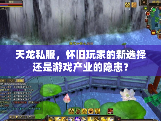 天龙私服，怀旧玩家的新选择还是游戏产业的隐患？