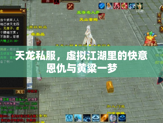 天龙私服，虚拟江湖里的快意恩仇与黄粱一梦