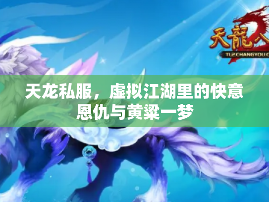 天龙私服，虚拟江湖里的快意恩仇与黄粱一梦