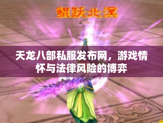 天龙八部私服发布网，游戏情怀与法律风险的博弈