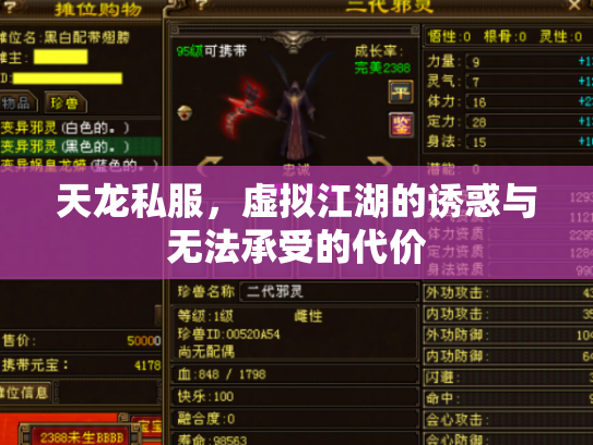 天龙私服，虚拟江湖的诱惑与无法承受的代价