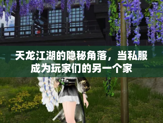 天龙江湖的隐秘角落，当私服成为玩家们的另一个家